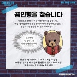 집 나간 곰인형 찾기 | 키노라이츠 커뮤니티