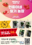 30807 김민중 / 민중이네 딸기 농장