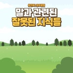 용인포니승마클럽_05.10-복사본