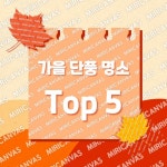 Basic | 미리캔버스 콘텐츠샵