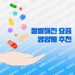 Basic | 미리캔버스 콘텐츠샵