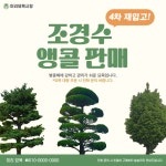 miniwide | 미리캔버스 콘텐츠샵