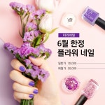 안경세일 - 미리캔버스