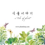 모히또 - 미리캔버스