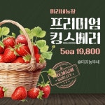 브라운색 연두색의 신선한 채소 샐러드 정기구독 이벤트 - 미리캔버스