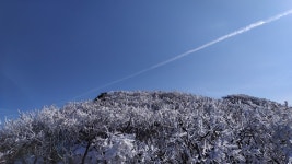 20200110 덕유는 언제나 옳다. (사진 약 30장입니다.) - 뽐뿌:등산포럼 20200110 덕유는 언제나 옳다. (사진 약 30장입니다.)