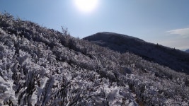 20200110 덕유는 언제나 옳다. (사진 약 30장입니다.) - 뽐뿌:등산포럼 20200110 덕유는 언제나 옳다. (사진 약 30장입니다.)