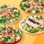 랭킹닭컴 [포켓샐러드] 단백질업 닭가슴살 샐러드 5종 맛보기