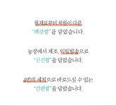 랭킹닭컴 프레쉬홈 파프리카 그린 샐러드 2주 구성(8팩)