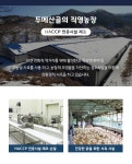 랭킹닭컴 [테미즈] 두메산골 냉동 생 닭가슴살