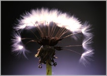 Image 10762 - RaySoda 학장동인