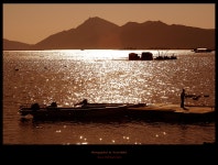 여울아빠 - RaySoda