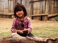 행복한수의사 - RaySoda