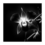 Image 115709 - RaySoda 헤롱이아빠