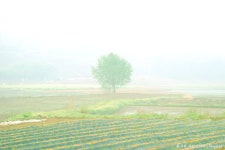 황규의 사진이야기 - RaySoda