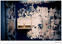 Image 129075 - RaySoda [ 미호 ]