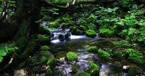 진고개신사 - RaySoda