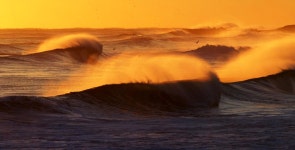 진고개신사 - RaySoda