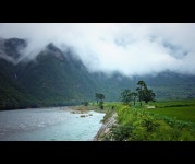 ▒ 선도 ▒ - RaySoda