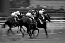 헤롱이아빠 - RaySoda