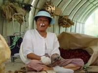 어슬렁이 - RaySoda