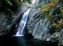 진고개신사 - RaySoda