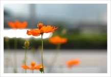 Image 165603 - RaySoda 동곡