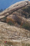 Image 175088 - RaySoda 내마음속풍차