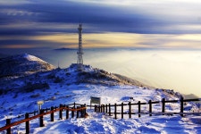 진고개신사 - RaySoda