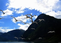 조크™, photo by ZOCH - RaySoda