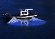 진고개신사 - RaySoda