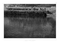 Image 213155 - RaySoda jeri