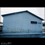 캘빈 - RaySoda