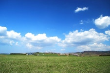 男子의香氣 - RaySoda