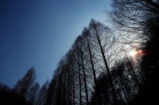 Image 230069 - RaySoda 野人[야인]이 봉준