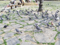 Image 248535 - RaySoda 미또미