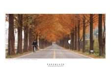 우공(愚公) - RaySoda