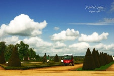 SINGIRU[신기루] - RaySoda