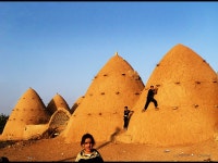 행복한수의사 - RaySoda