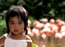 조크™, photo by ZOCH - RaySoda