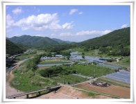 Image 260739 - RaySoda 섭이아빠