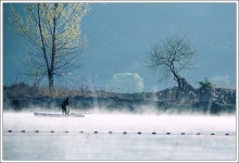 하늘나무 - RaySoda