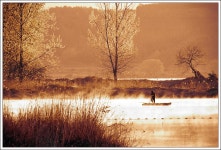 하늘나무 - RaySoda