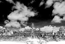 하늘나무 - RaySoda