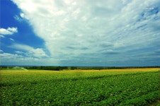 SINGIRU[신기루] - RaySoda