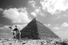 드림픽쳐 - RaySoda