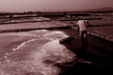 Image 288513 - RaySoda 세올
