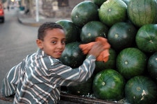 드림픽쳐 - RaySoda