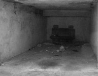 니나노난나 - RaySoda