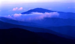 진고개신사 - RaySoda